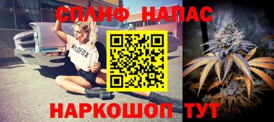 стаф Лесосибирск