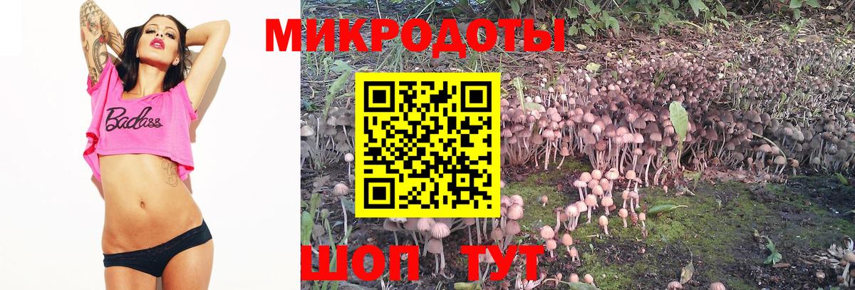 Псилоцибиновые грибы Psilocybine cubensis  Вход с VPN  Среднеуральск  купить наркотик  Псилоцибиновые грибы Psilocybine cubensis 