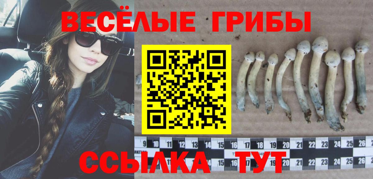 Галлюциногенные грибы прущие грибы Среднеуральск